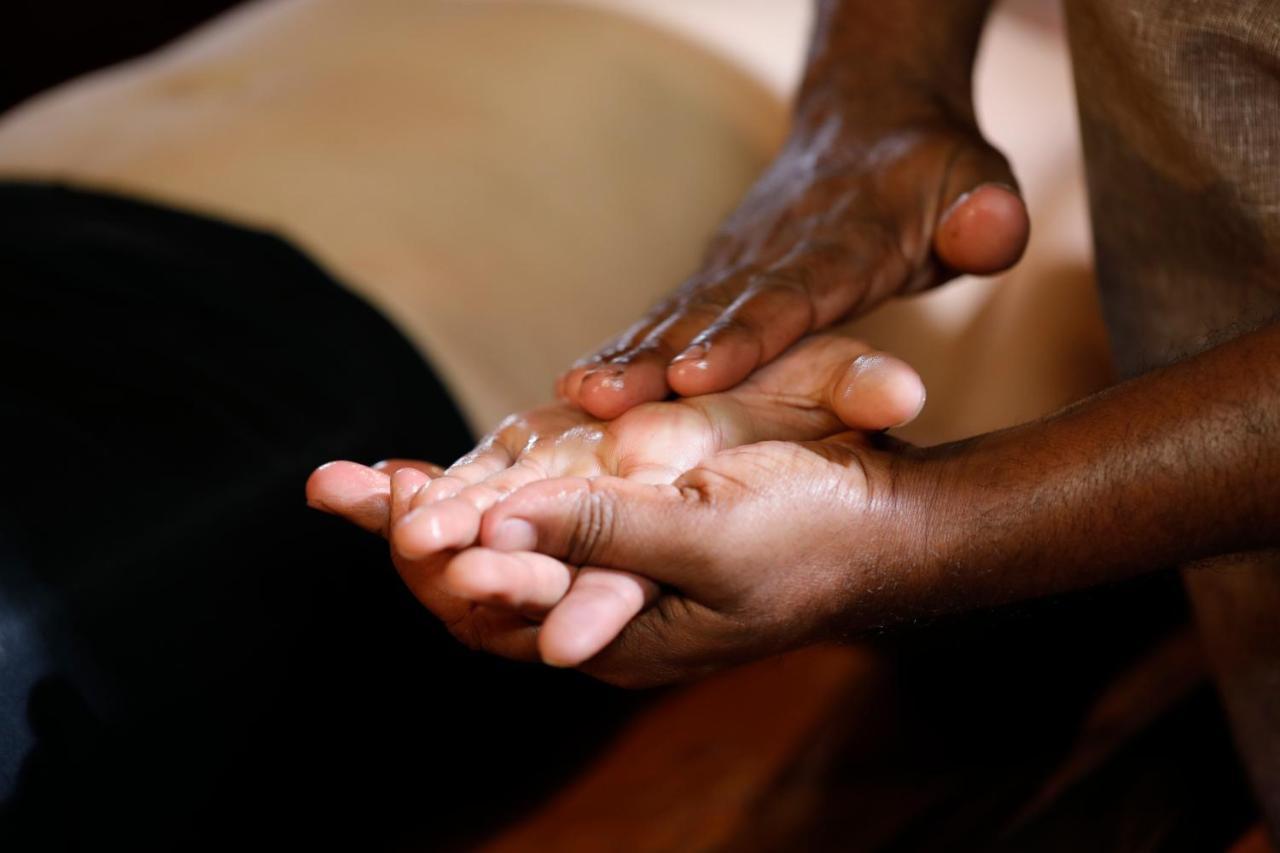 Sanjeevini Life Care Village - A Science Based Non - Invasive Holistic Wellness Destination Kochi Ngoại thất bức ảnh