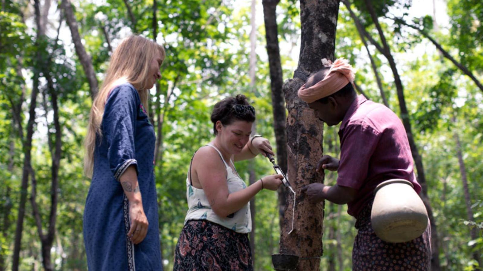 Sanjeevini Life Care Village - A Science Based Non - Invasive Holistic Wellness Destination Kochi Ngoại thất bức ảnh